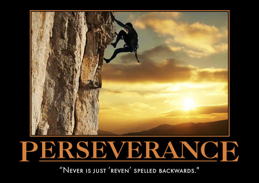 Perseverance - House Quotes