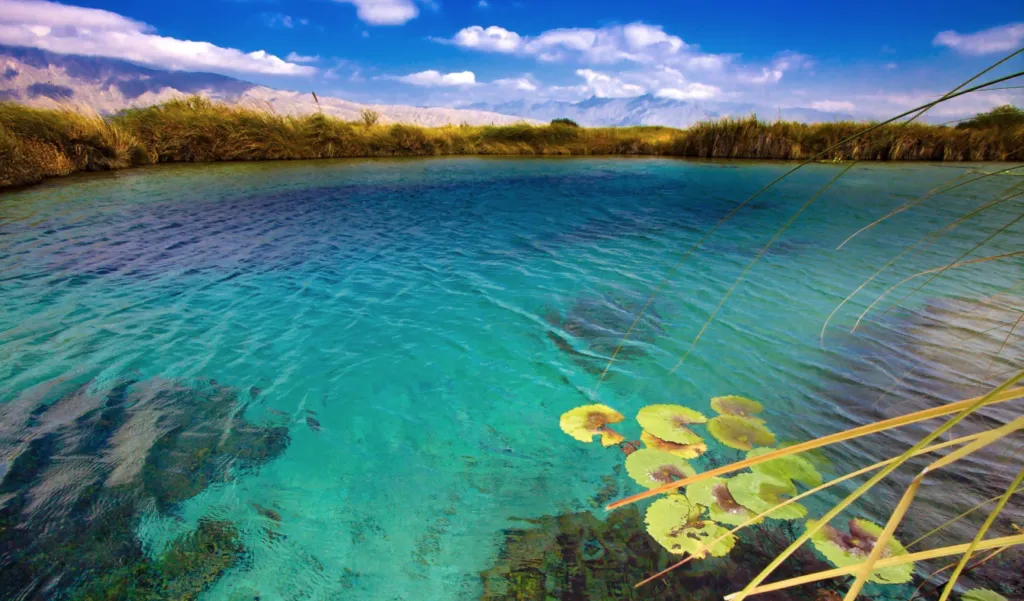 Cuatro Ci&eacute;negas, Coahuila