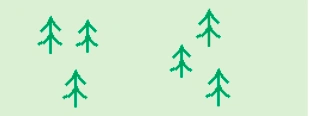 CONIFEROUS TREES