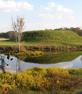 Ground view of Moundville Archaeological Park