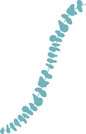 Dark Blue Eucalyptus