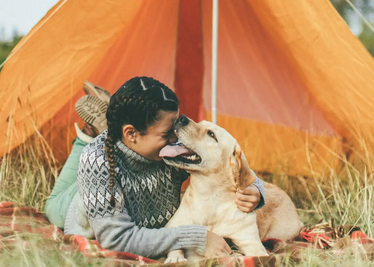 A woman hugs a Labrador Retriever lying down in front of an orange tent