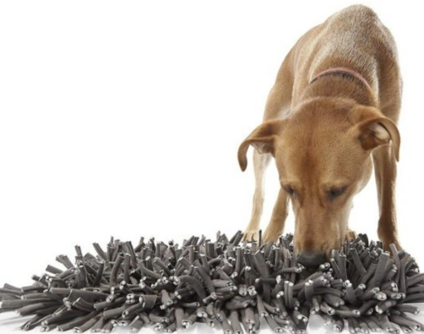 Dog Toy Wool Snuffle mat.webp