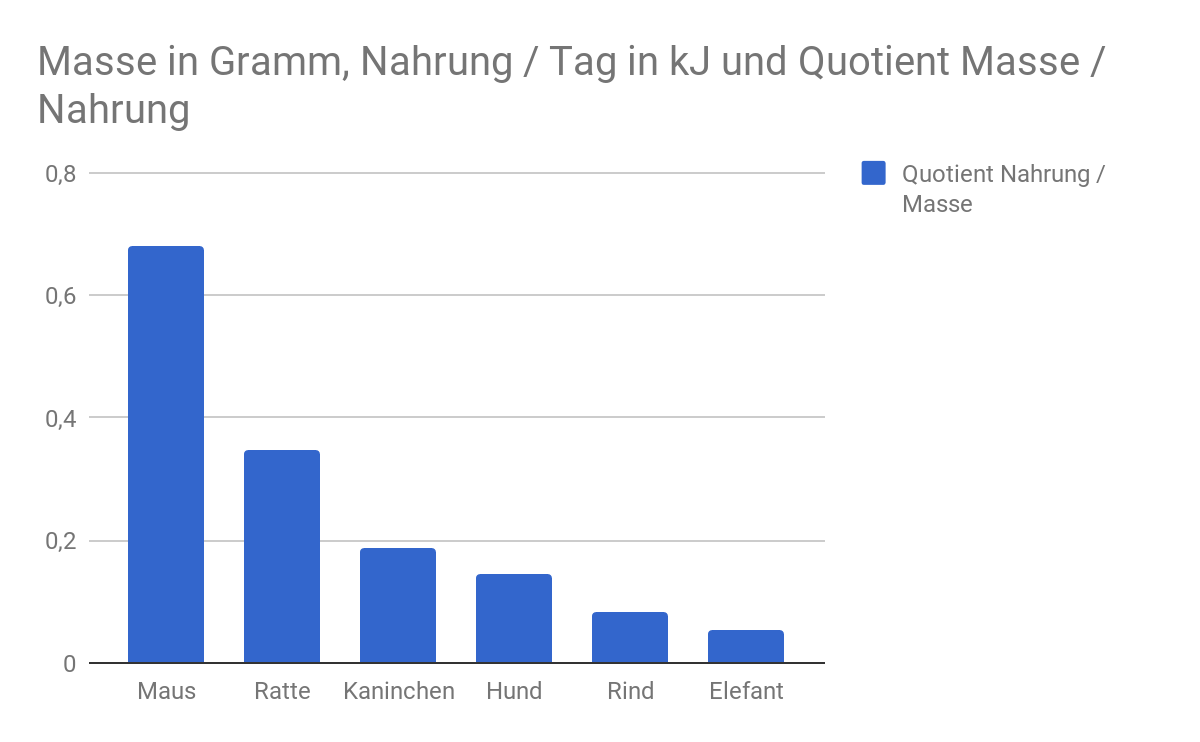 Nahrungsaufnahme von Tieren in Relation zum Gewicht