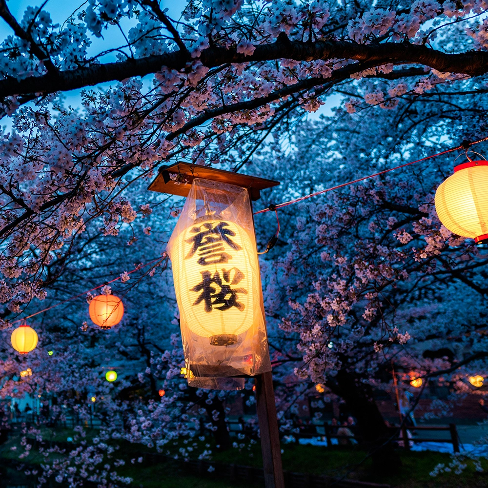 Japanese Lamp.webp