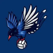 Blue Magpie Volleyball Academy