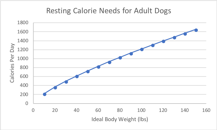 how many kcals does my dog need