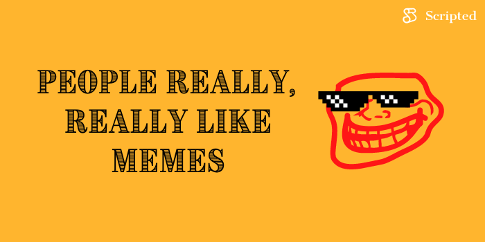 people really really like memes