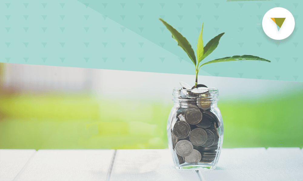 Plant growing from coins