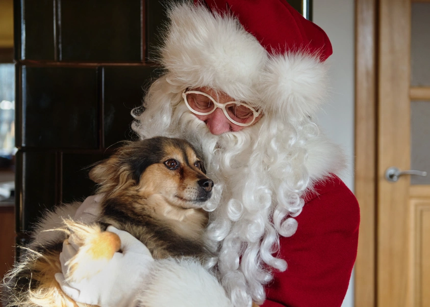 santapaws.webp