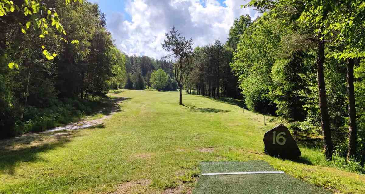 A grassy disc golf fairway lined by thick woods