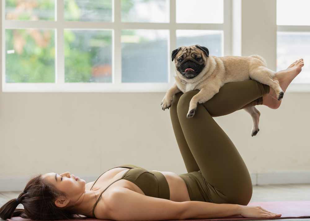 A woman lying on her back with a Pug resting on her raised legs