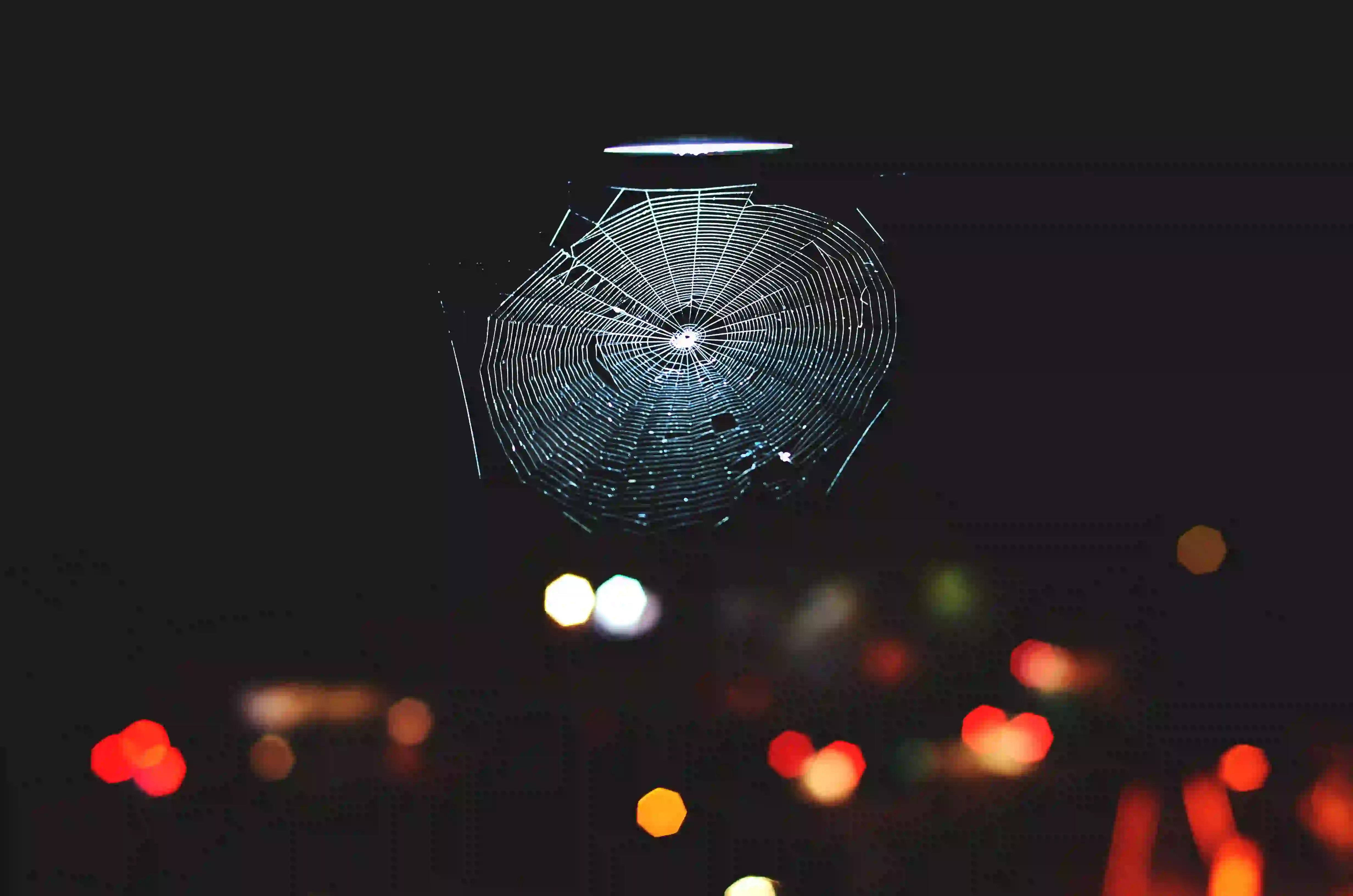 Spider net with black background