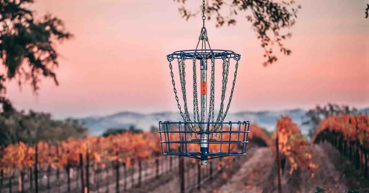 A basket hang from a tree in front of rows of grapevines
