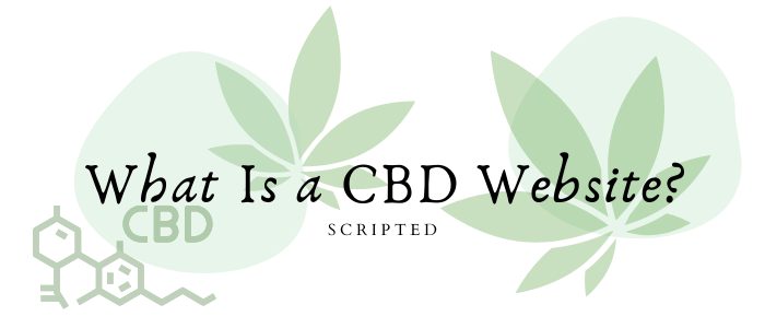 What Is a CBD Website?
