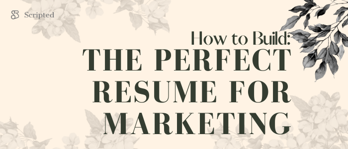 How to Build the Perfect Resume for Marketing