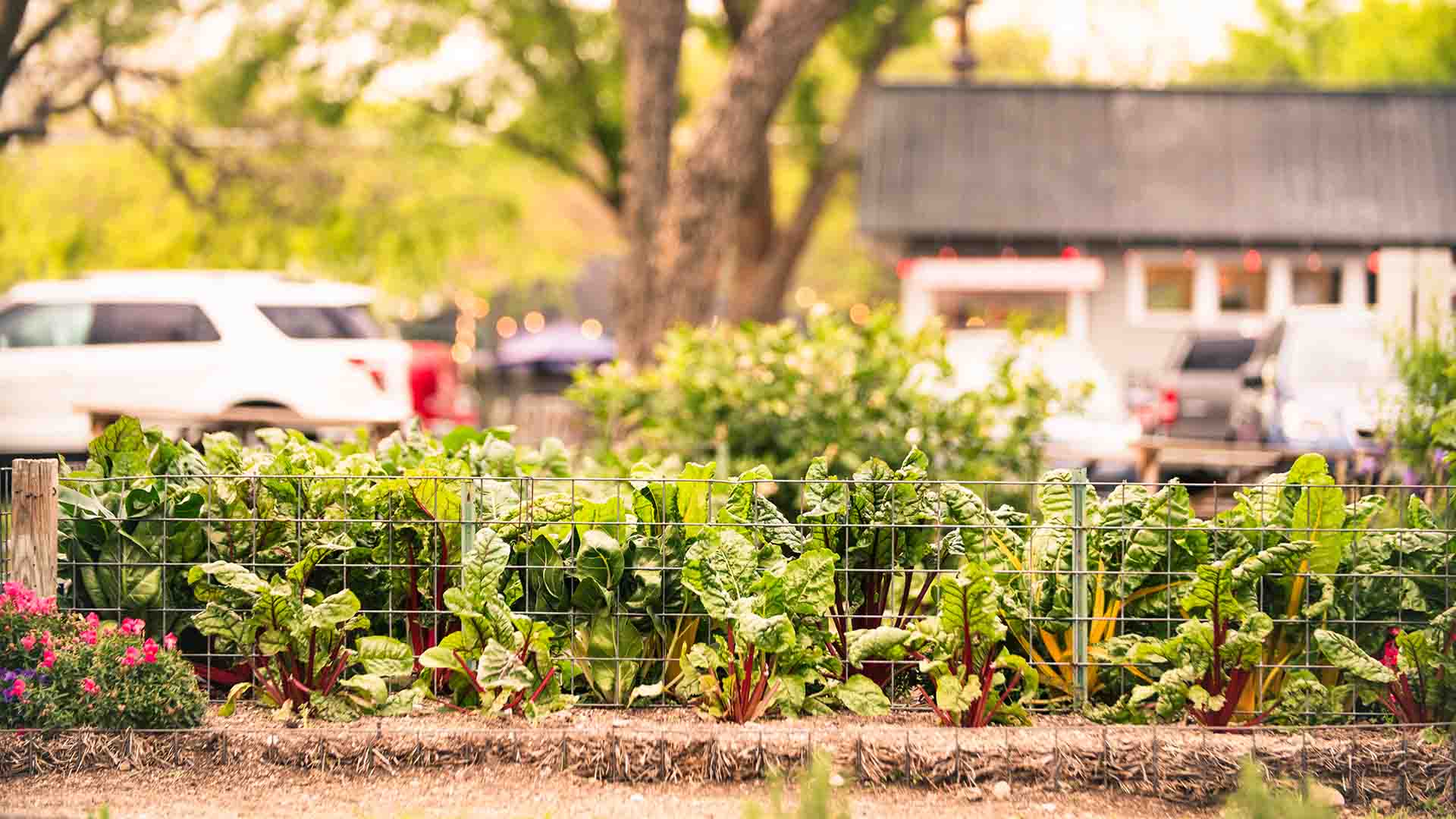 best farm to table restaurants tucson augustin kitchen