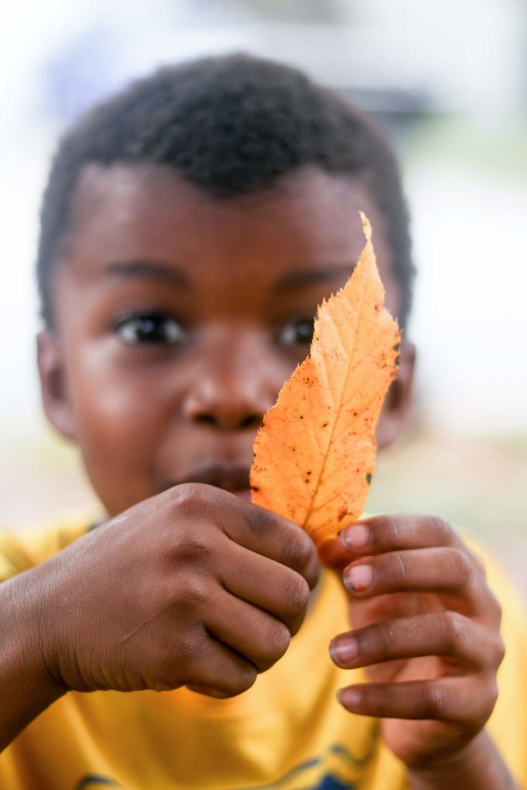 The Power Of Gratitude | Tinkergarten