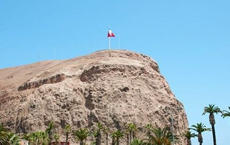 Arica