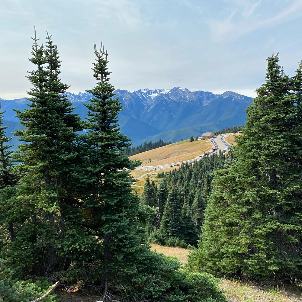 Mountain view of Olympic Peninsula, Washington