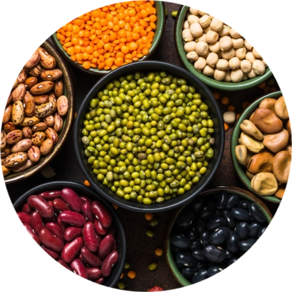 What are Legumes?