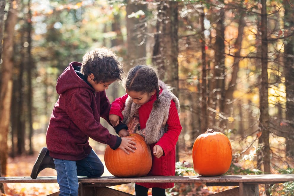 kids carving a pumpkin