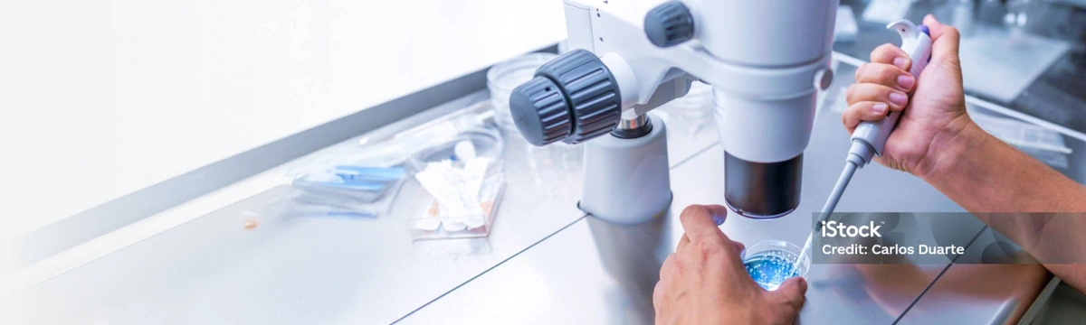 Assisted Hatching & IVF