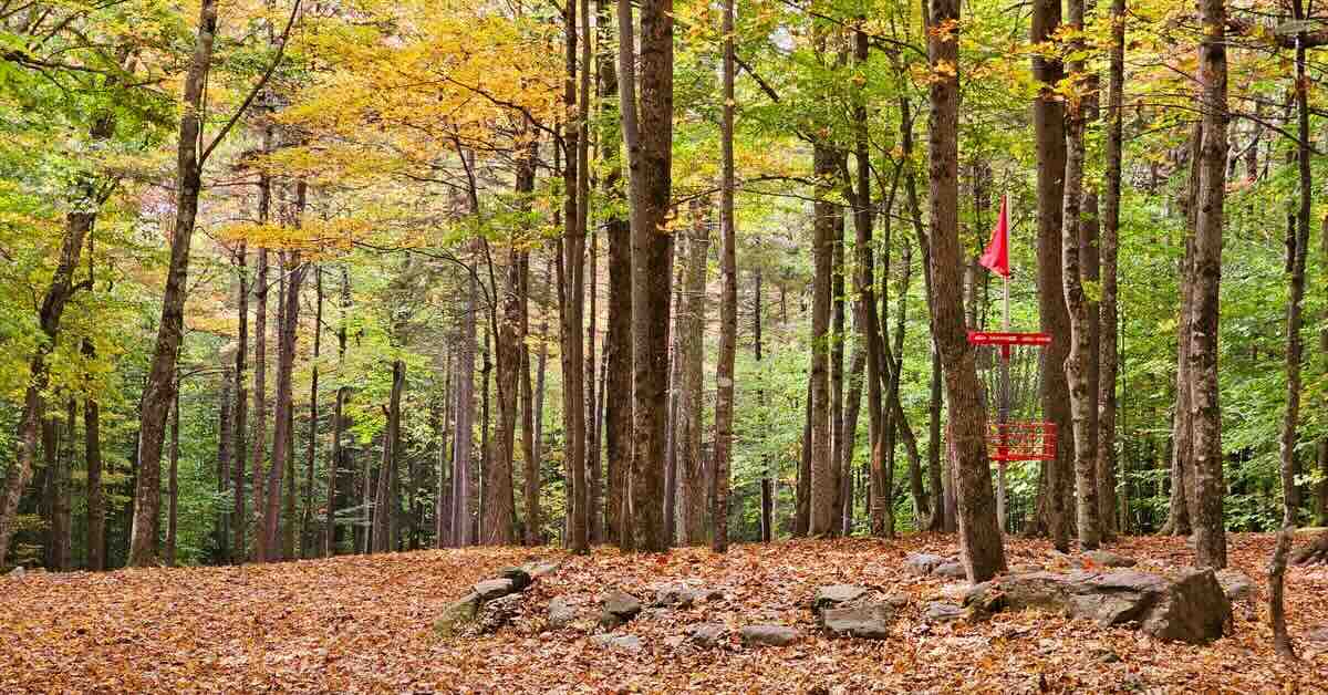 A red disc golf basket in a wooded area in fall colors