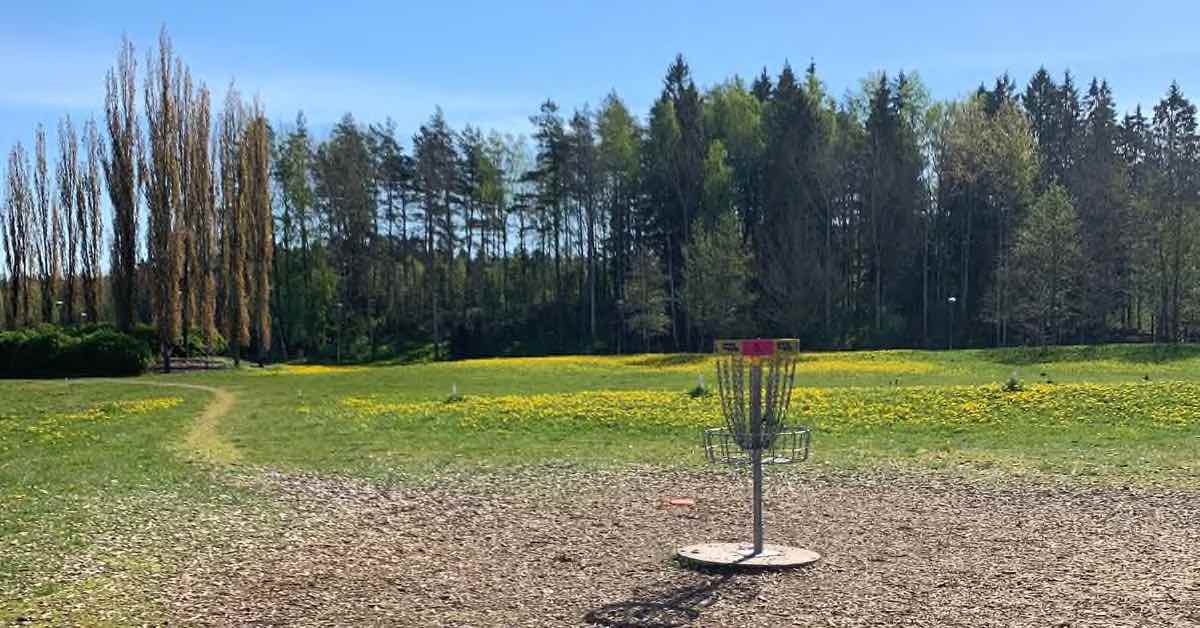 A disc golf basket in an open grassy space with yellow flowers