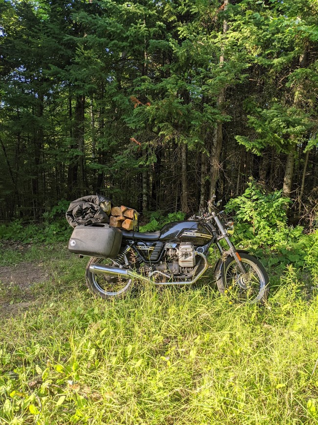 Moto Guzzi in the woods
