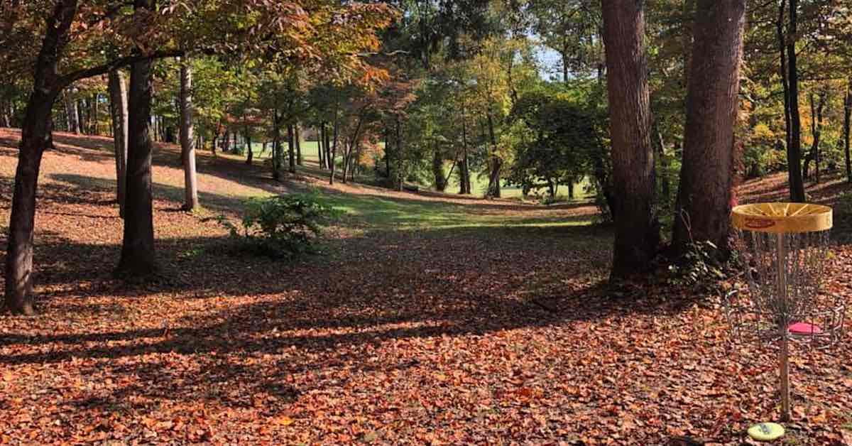 A basket in the right foreground with a wooded fairway behind