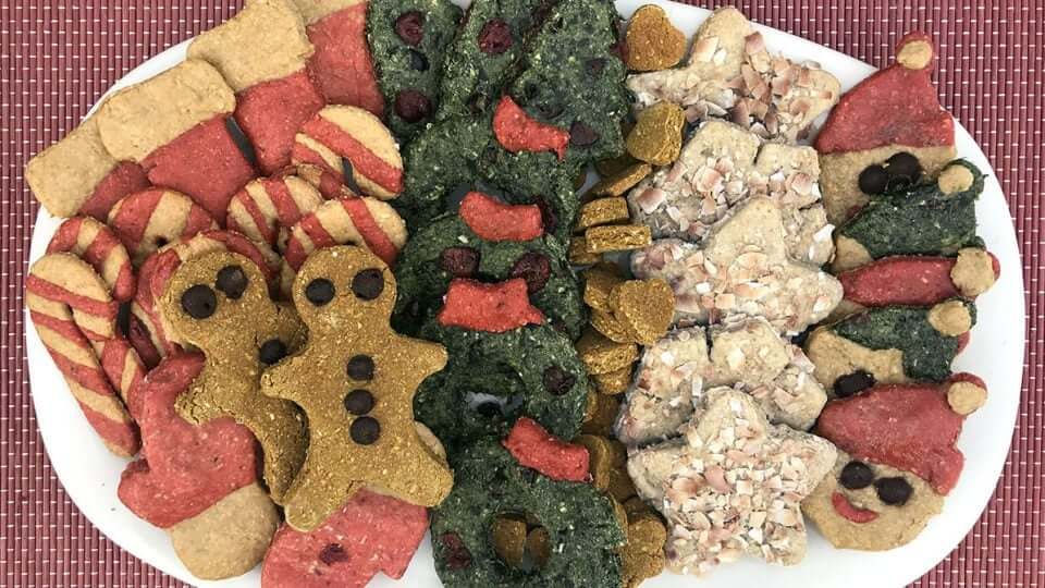 colorful-holiday-cookies-for-dogs-HER...