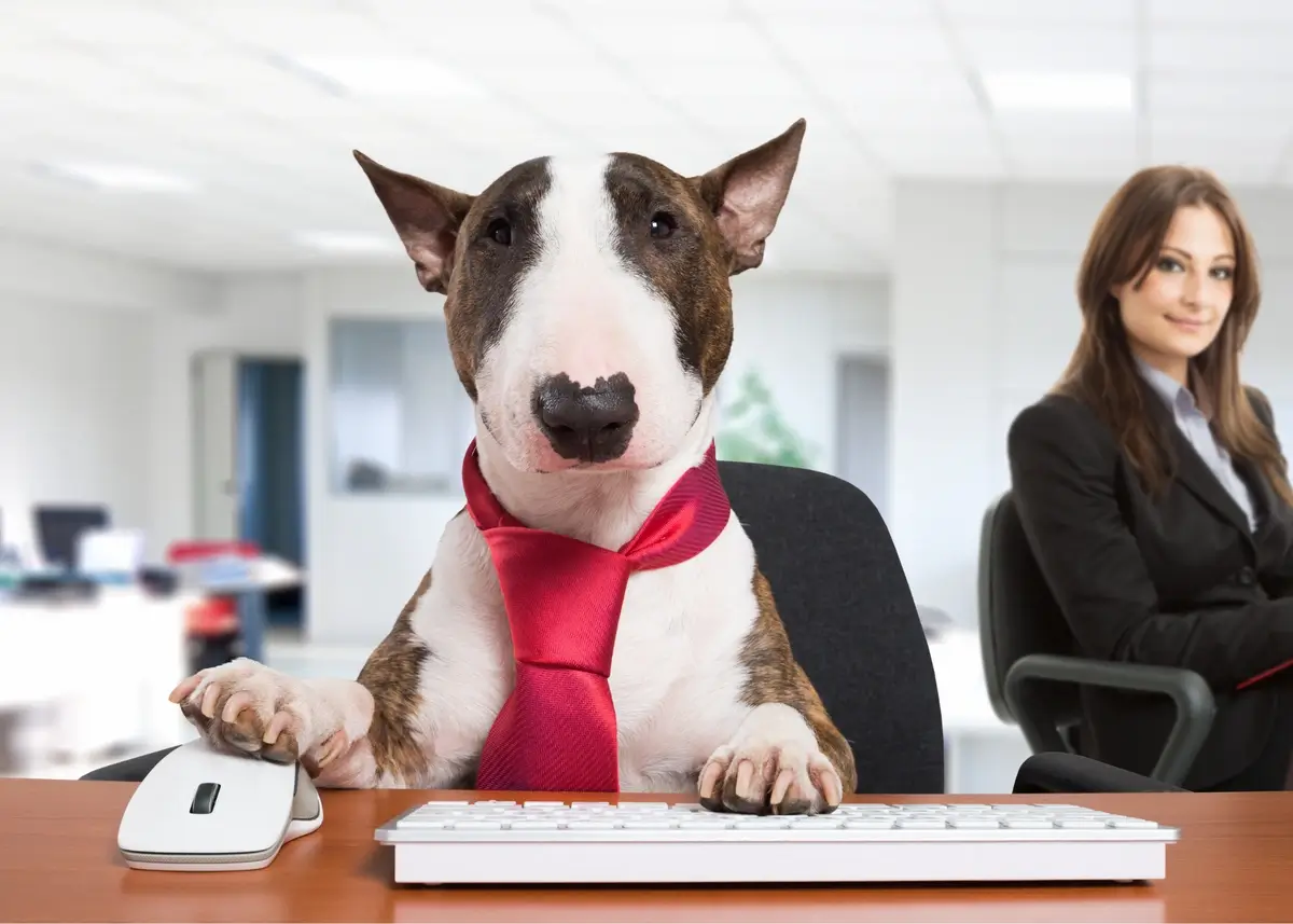 workbullterrier (1).webp