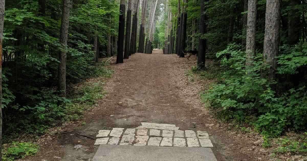The end of a concrete disc golf tee pad leads to a very tight, very straight fairway