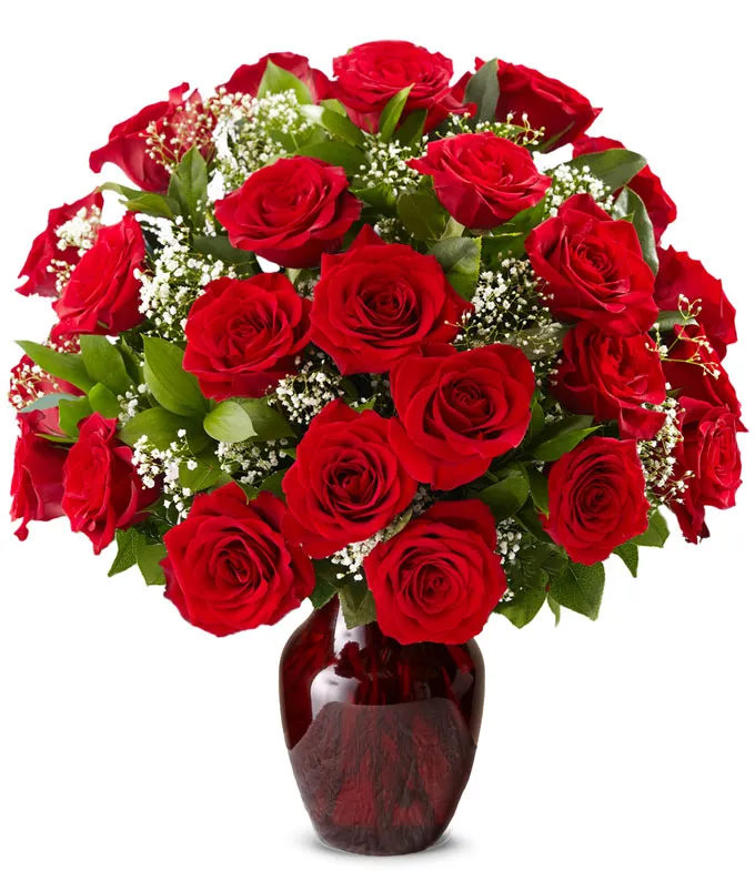 Two dozen red roses