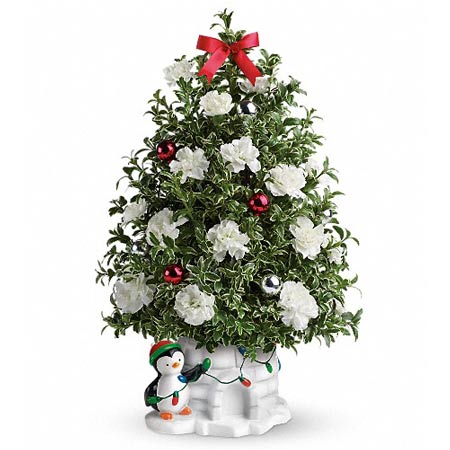 White carnations penguins mini live Christmas tree deliveries