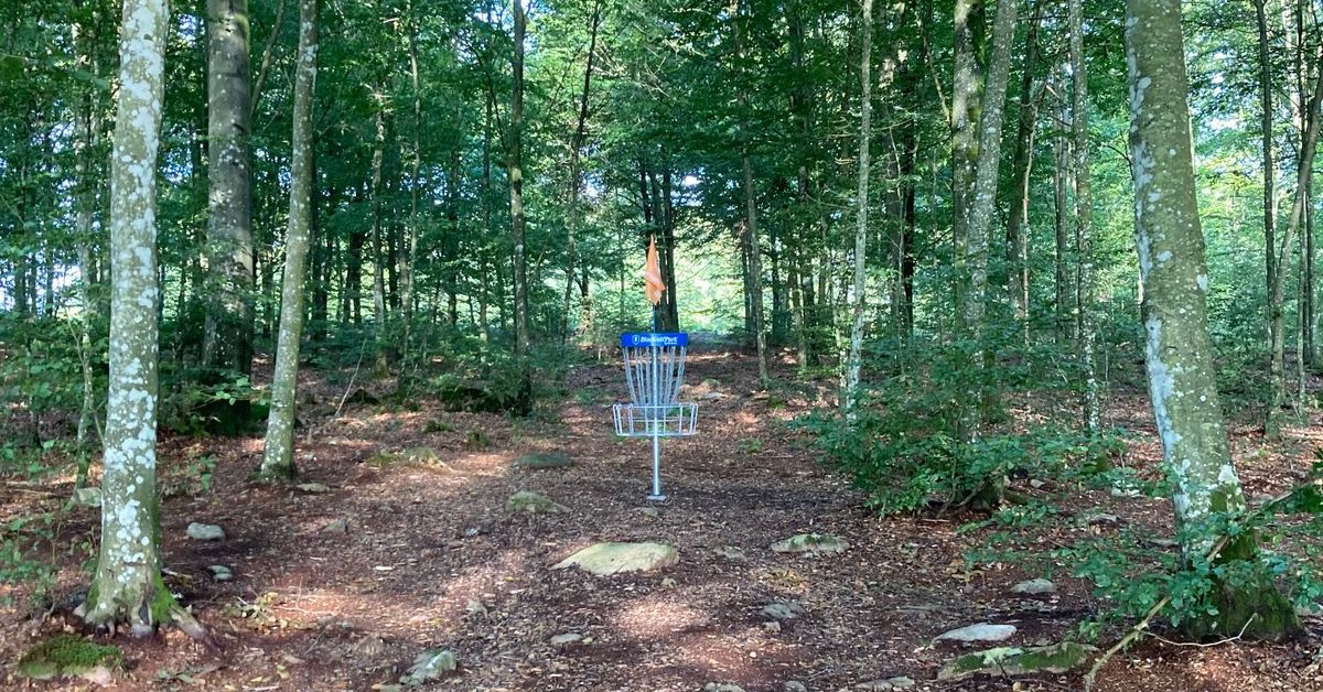 A blue-banded disc golf basket in a wooded area