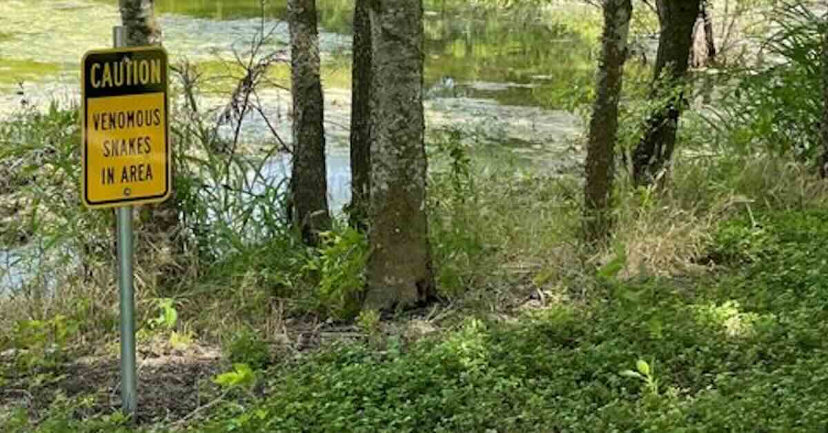 A yellow sign in an unkempt area near a pond warning of snakes