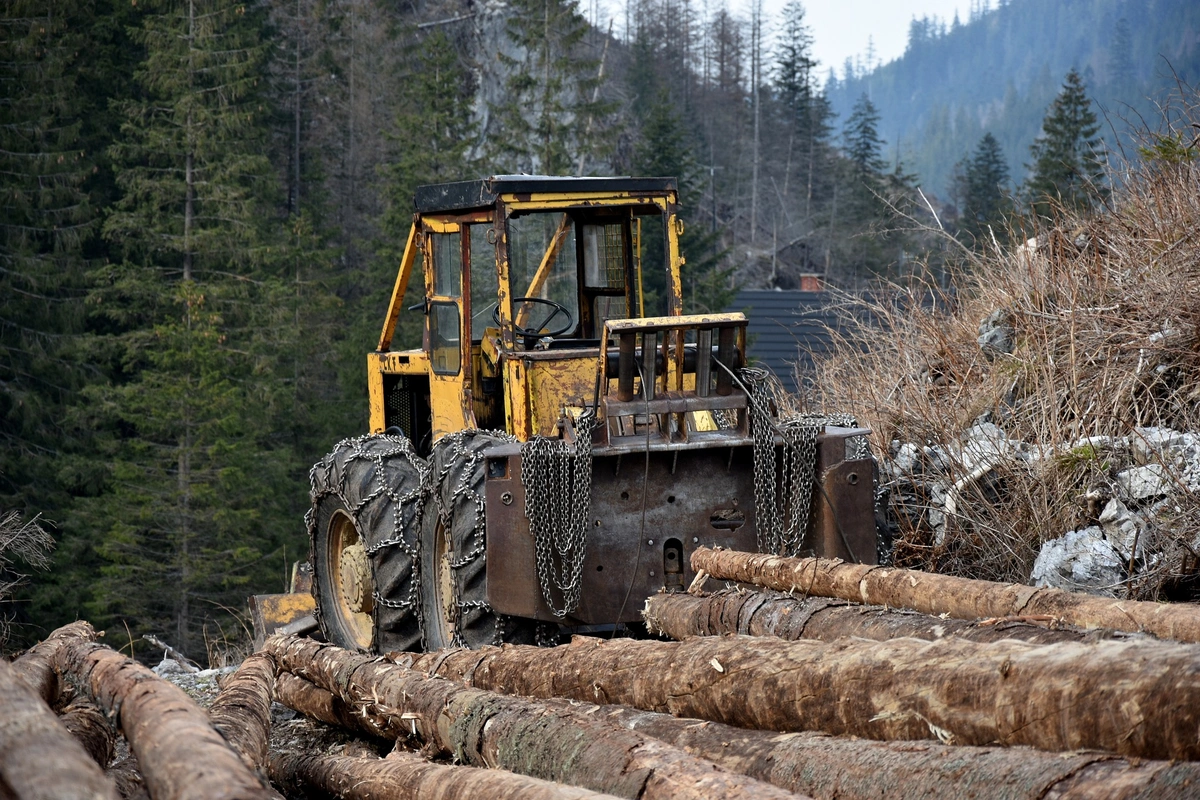 Forestry Equipment: A Comprehensive Overview - Boom & Bucket