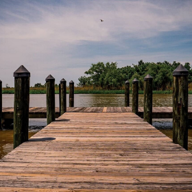 Pier looking over the waters of 5 Rivers Delta