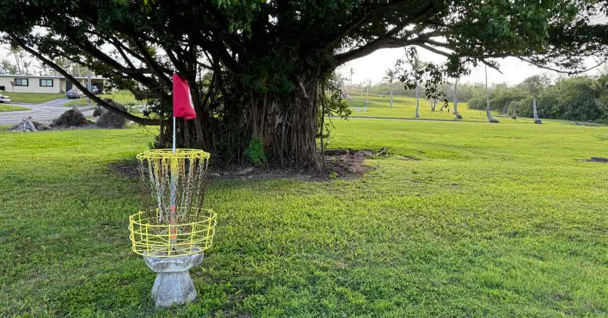 A disc golf basket in fron of a tree on a large area of mown lawn
