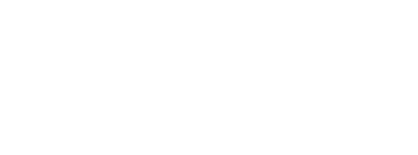 sapient company logo