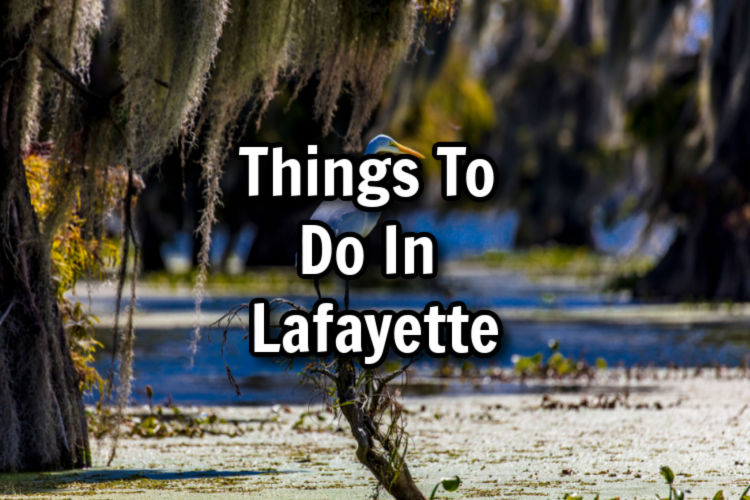 things to do in lafayette, louisiana