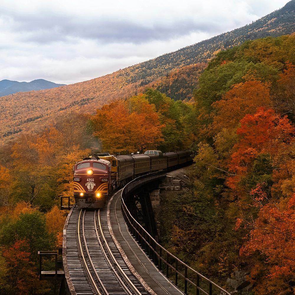 A train rounds a bend surrounded by autumn leaves.