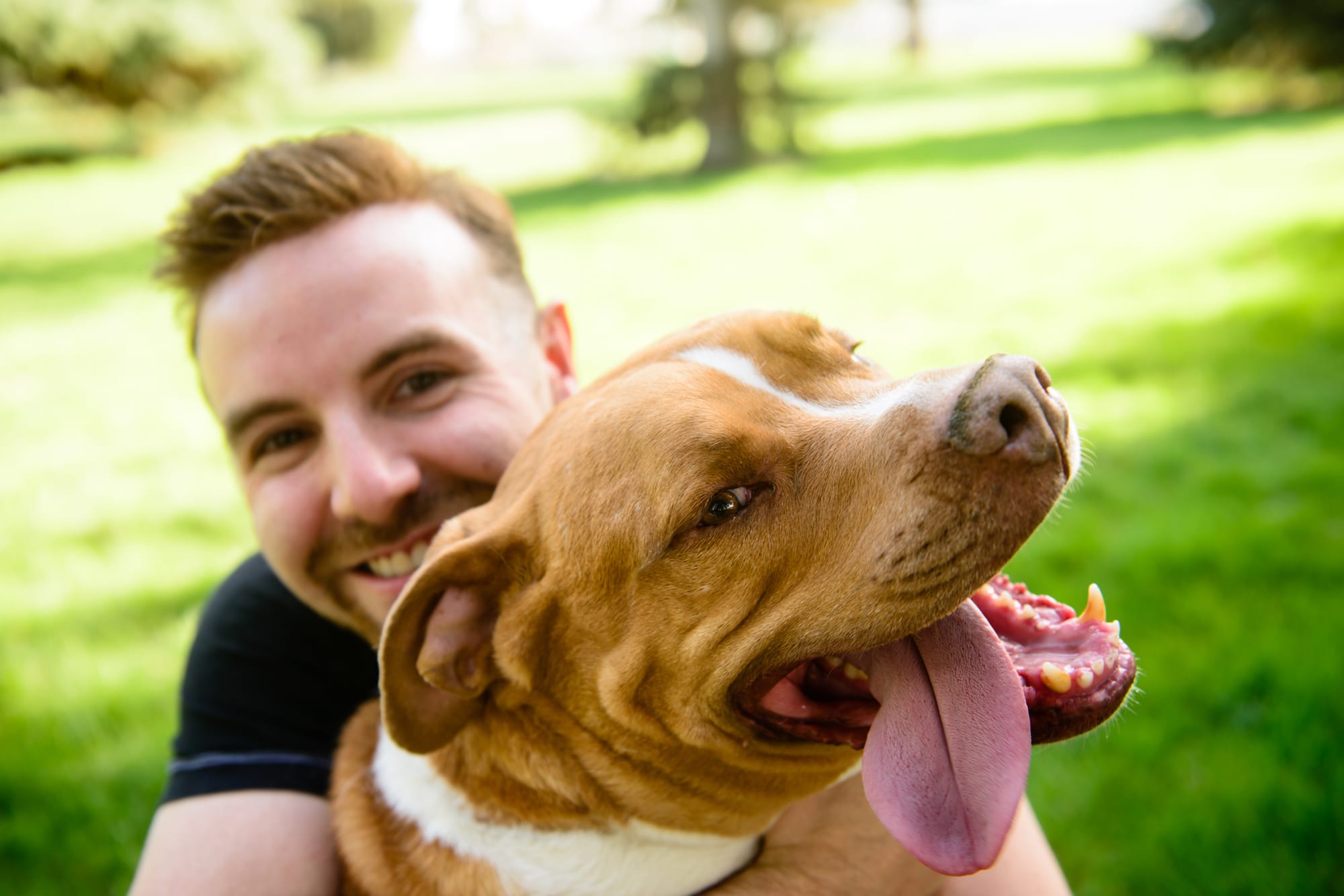 what does a dog need for a balanced diet