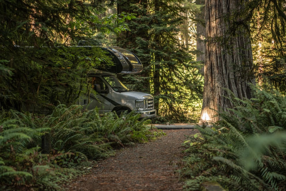 rv in redwoods california