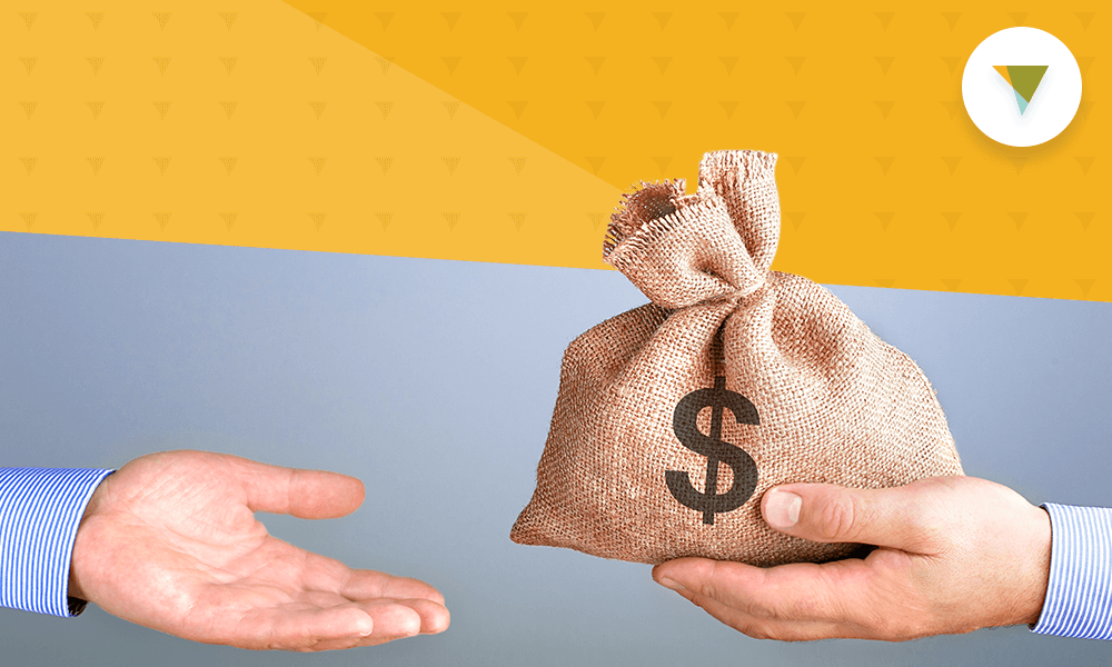 A Money Bag in Hands