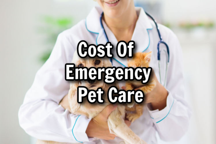 cost of emergency pet care