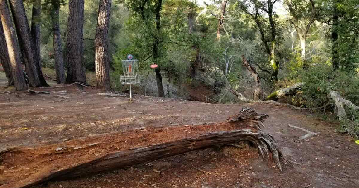 A disc golf basket in a grassless wooded area with a disc coming towards it