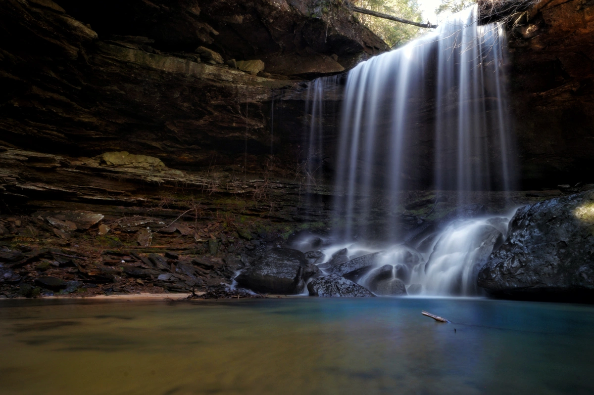 Sougahoagdee Falls Lane Leopard3.webp